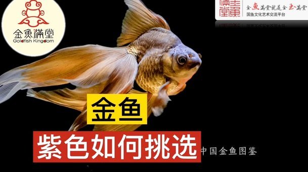 谁在“刷”出现金？