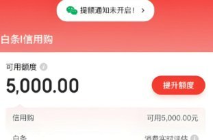 京东白条在哪里提现京东白条提现