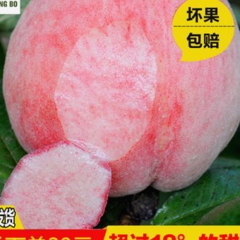 携程拿去花取现如何还款指南