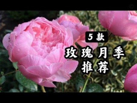 花呗月月付怎么套现