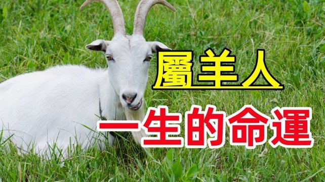 羊小咩信用额度提升攻略