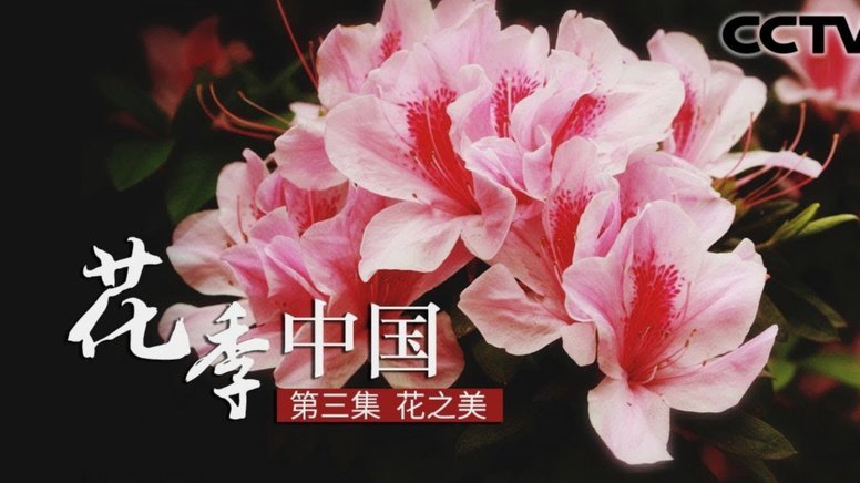 花呗借贷合法吗？真相大揭秘