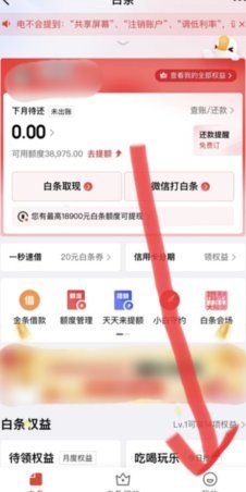 如何安全关闭白条服务