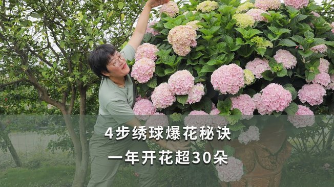 花呗套现：信用风险下的金融欺诈