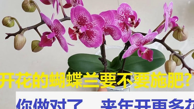 拿去花套现安全吗 现在还有吗