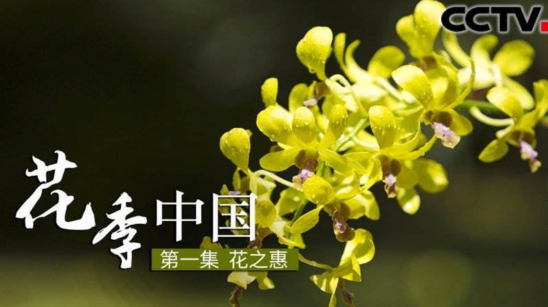 花呗分期套现平台隐忧探析