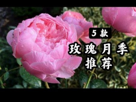 花呗如何合法转换为现金？