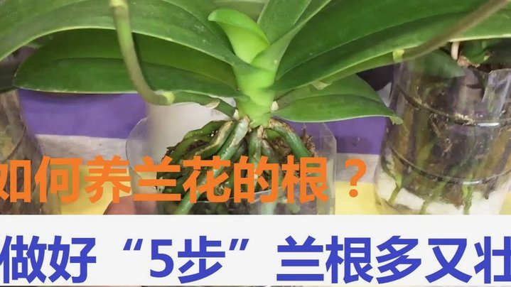 花呗怎么套现金?