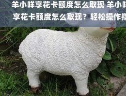 羊小咩取现额度申请攻略：提升信用等级的秘密技巧