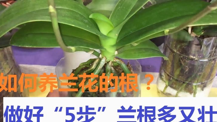 携程拿去花取现要审批吗