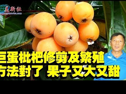 便荔卡包取现额度3万取现多少