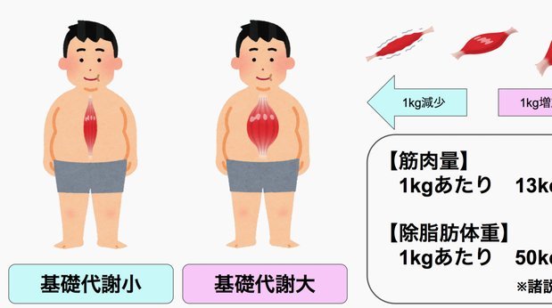 便荔卡包去哪儿了
