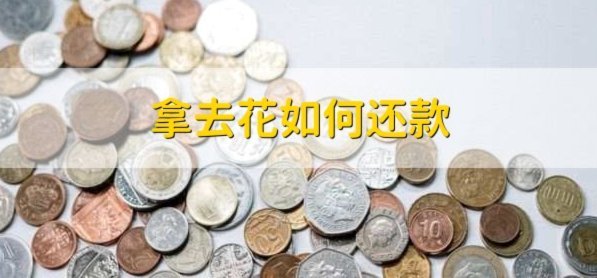 拿去花如何取出来用 现金转账