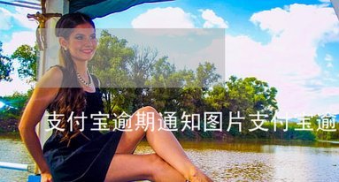 分期乐怎么关闭会员续费