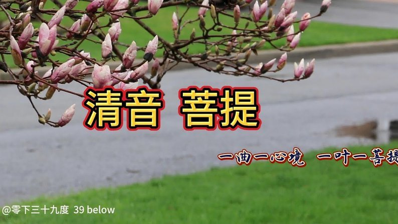 白条秒到如何提现gs安诚小铺rr助富掌柜