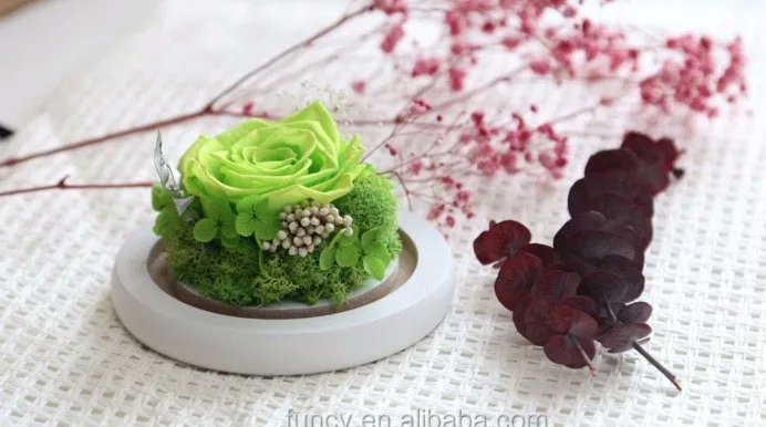 花呗分期套现平台现金还款避坑指南