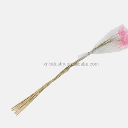 花呗分期套现平台 现金还款