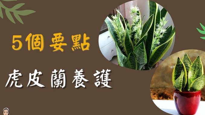 花呗分期套现平台 现金还款