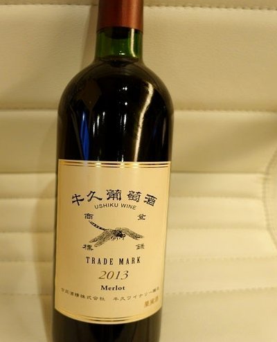 美团月付到底能否取现？揭秘平台资金流向与风险点