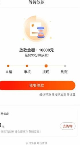 羊小咩的消费额度怎么提用
