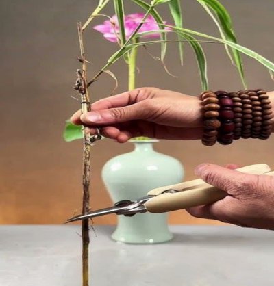 花呗还款操作流程