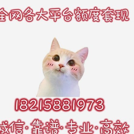 资金短缺与“秒到”体验：金融便捷背后的风险与考量