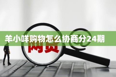 羊小咩怎么协商分24期