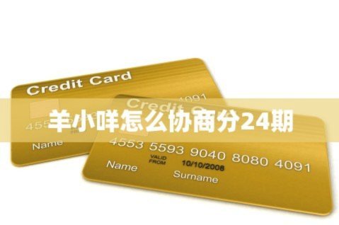 羊小咩怎么协商分24期