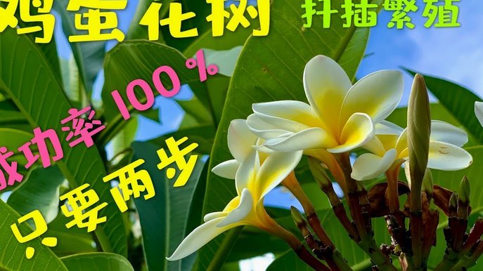 携程拿去花下款是否容易