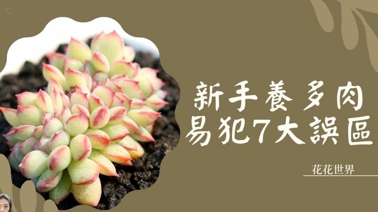 拿去花能用在哪些平台？