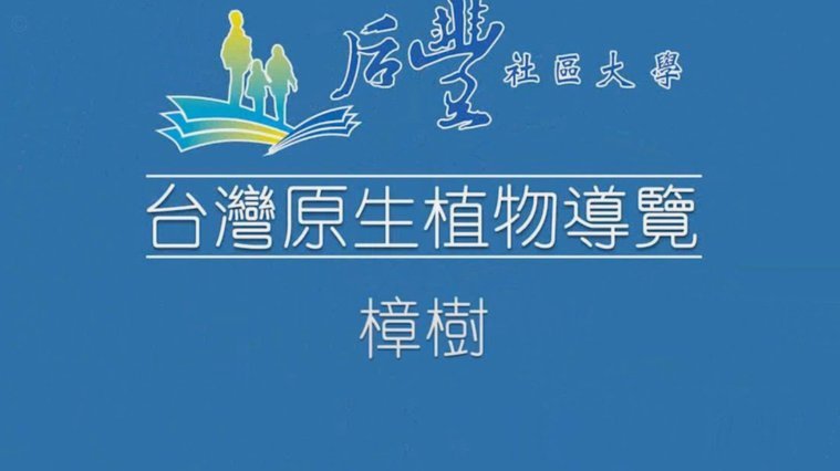 拿去花哪些平台可以用