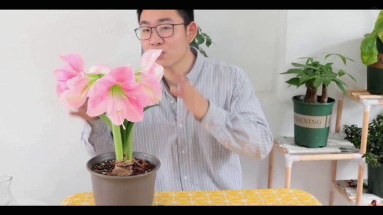 携程网的拿去花怎么提现