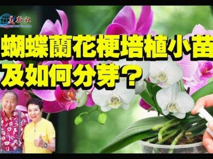 携程网的拿去花怎么提现