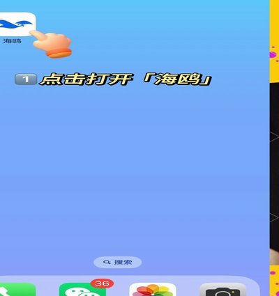 海鸥网贷平台