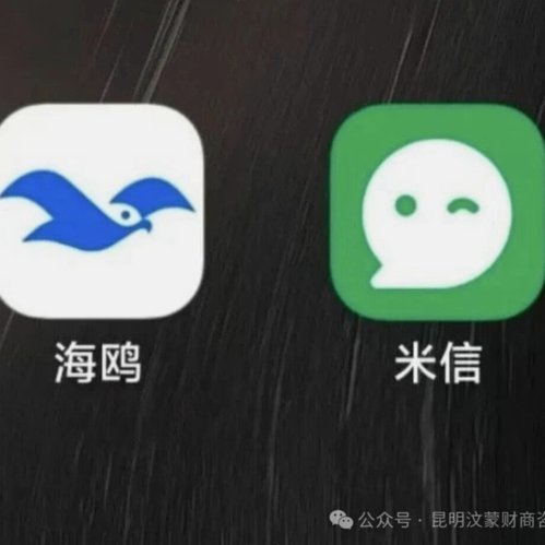 海鸥网贷平台