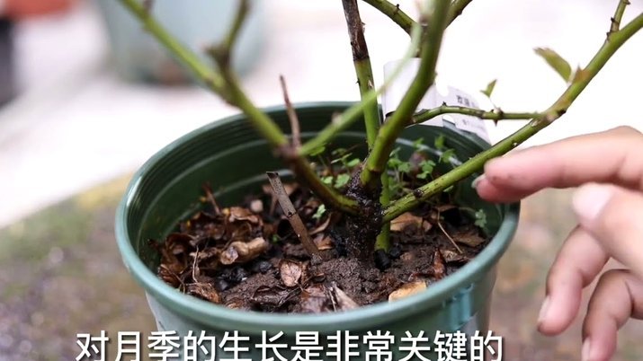 携程拿去花如何提现？平台资金揭秘