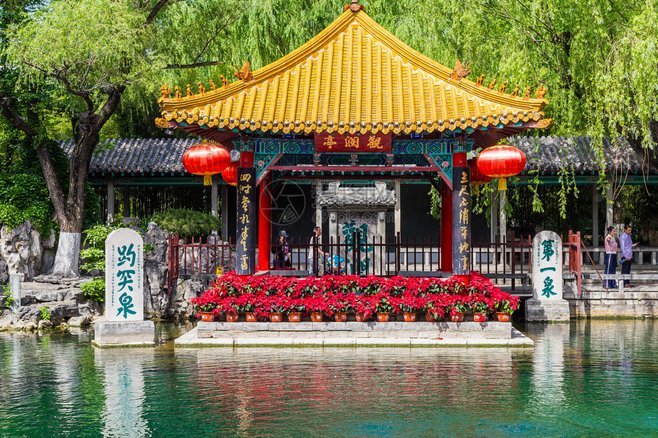 济南天空的“化学警示者”：硫酸隐翅虫频繁现身