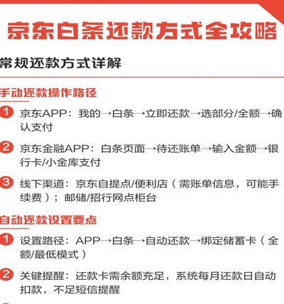 白条平台还款记录怎么查