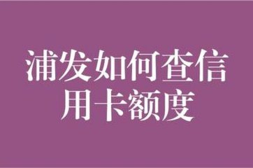 得物怎么查额度