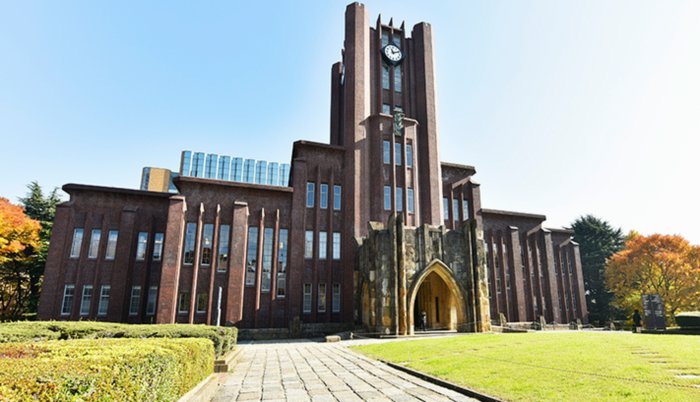 大学生与京东白条的风险与机遇