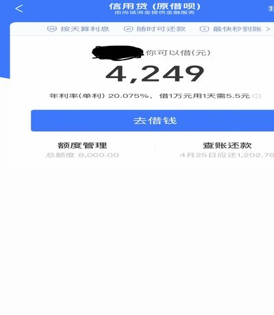 羊小咩购物额度用了能借款吗