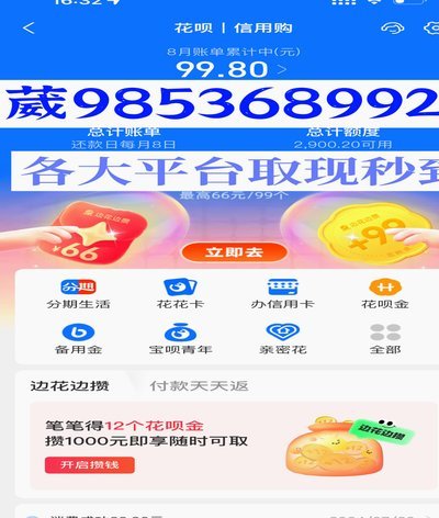 羊小咩购物额度用了能借款吗