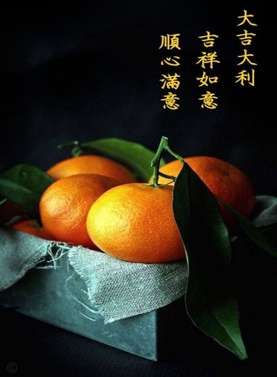 得物怎么看一共花了多少钱