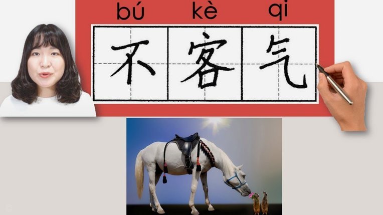 鹿优选取消先享卡影响大不大