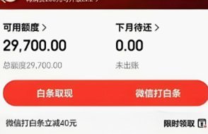 白条商家取现：资金秒到账