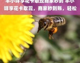 羊小咩秒到